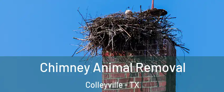  Chimney Animal Removal Colleyville - TX