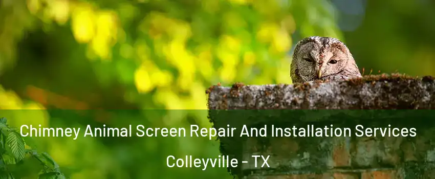  Chimney Animal Screen Repair And Installation Services Colleyville - TX