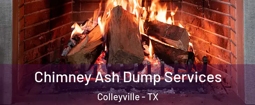  Chimney Ash Dump Services Colleyville - TX