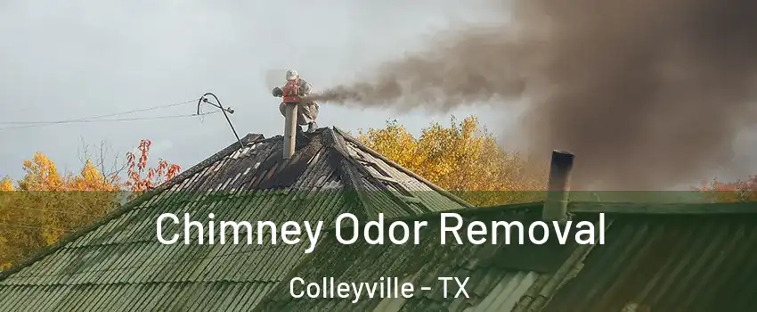  Chimney Odor Removal Colleyville - TX
