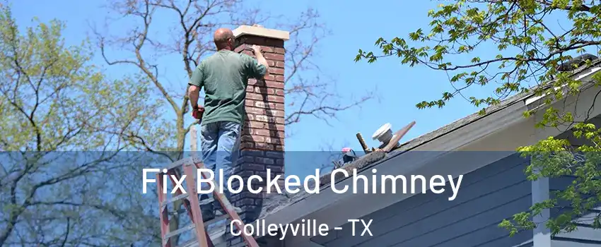  Fix Blocked Chimney Colleyville - TX