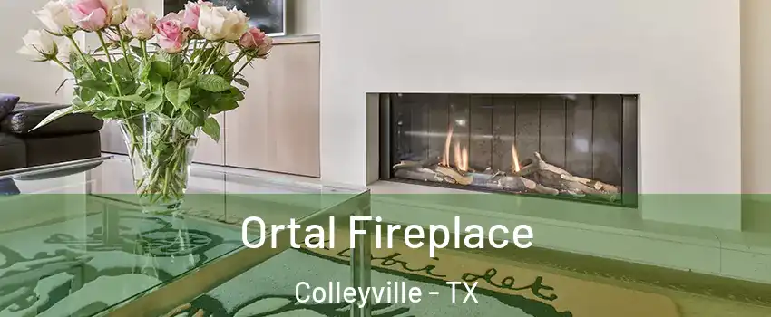  Ortal Fireplace Colleyville - TX